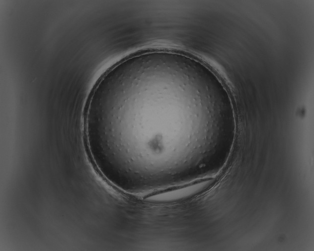 X0000091181335200708301208