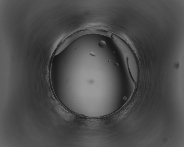 X0000091181336200708301208