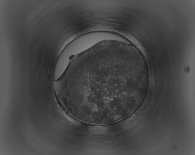 X0000091181337200708301208