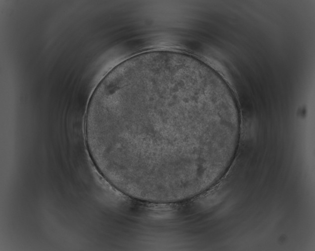 X0000091181338200708301208