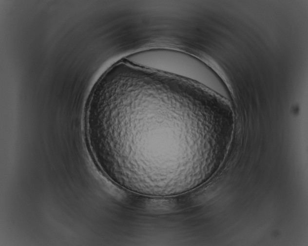 X0000091181339200708301208