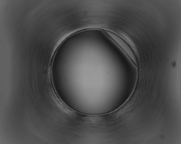 X0000091181340200708301208