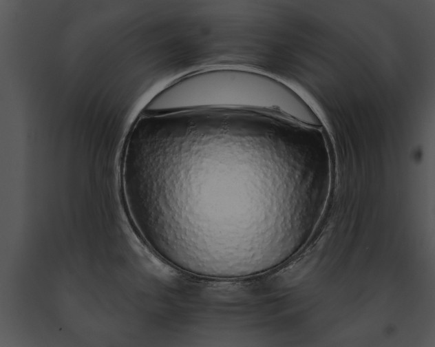 X0000091181341200708301208