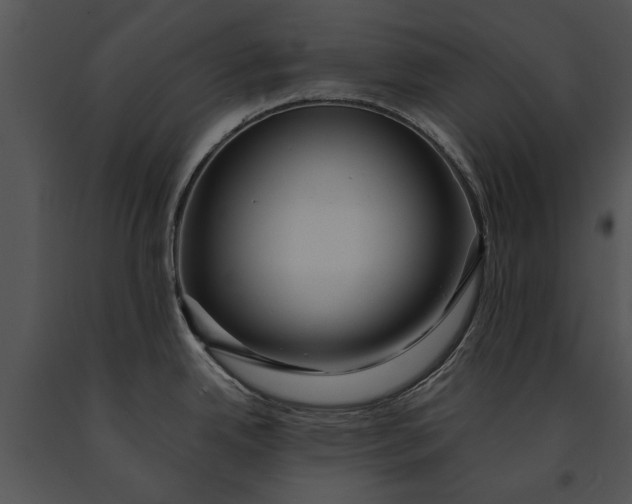 X0000091181342200708301209