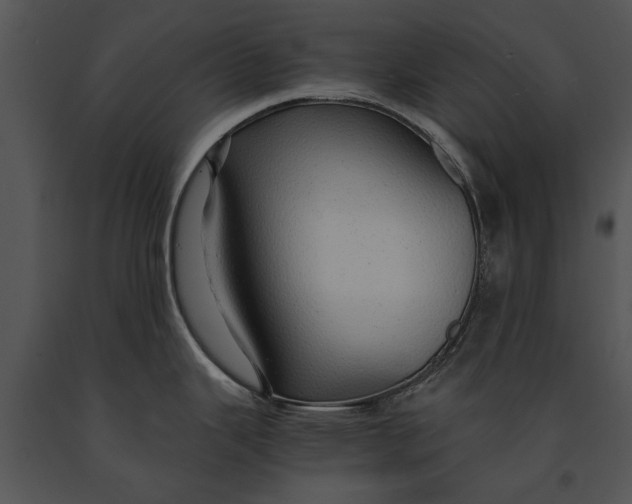 X0000091181343200708301209