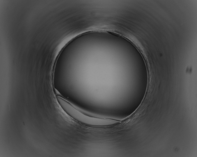 X0000091181344200708301209