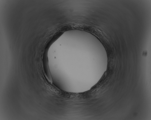 X0000091181345200708301208