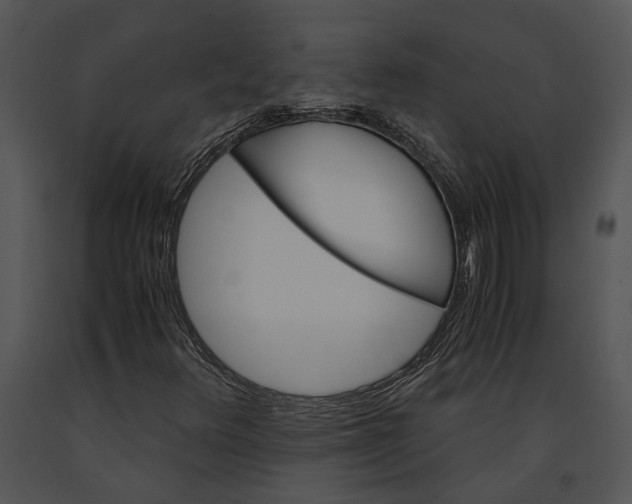 X0000091181348200708301208