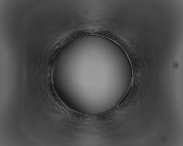 X0000091181349200708301208