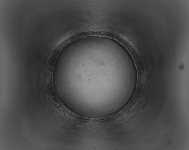 X0000091181350200708301208