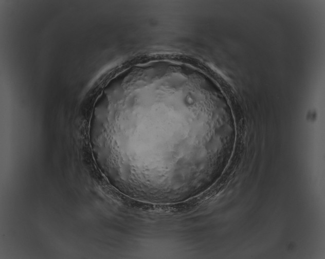 X0000091181351200708301208