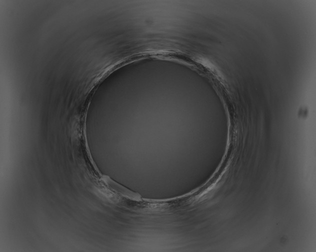 X0000091181353200708301208