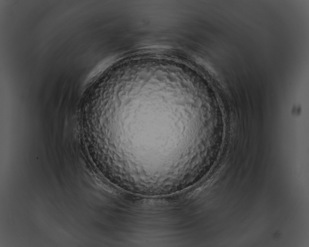 X0000091181354200708301208