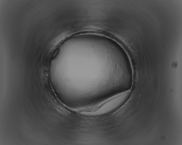 X0000091181355200708301208