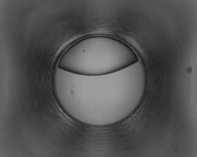 X0000091181356200708301208