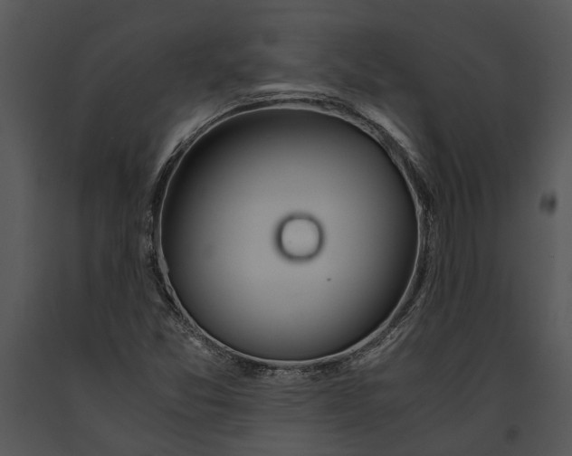 X0000091181357200708301208