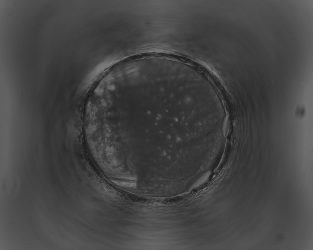 X0000091181359200708301208