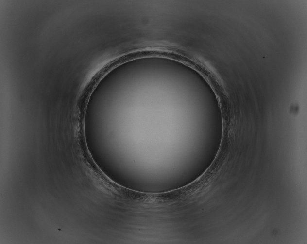 X0000091181360200708301208