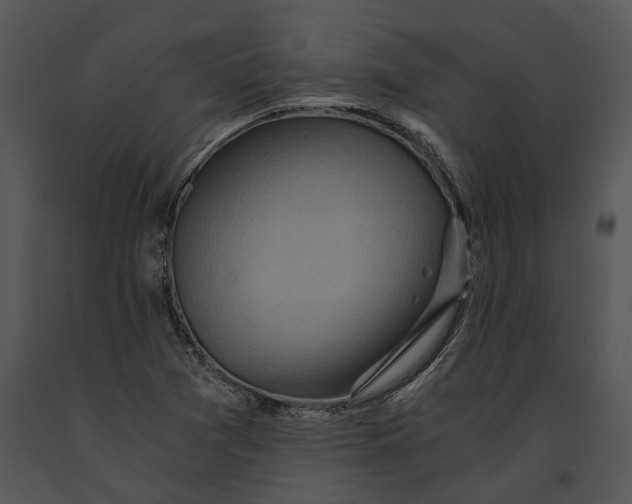 X0000091181361200708301208