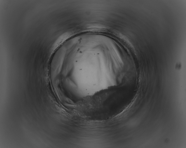 X0000091181362200708301208