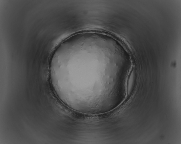 X0000091181363200708301208