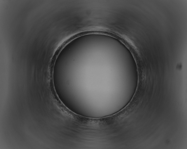 X0000091181364200708301208