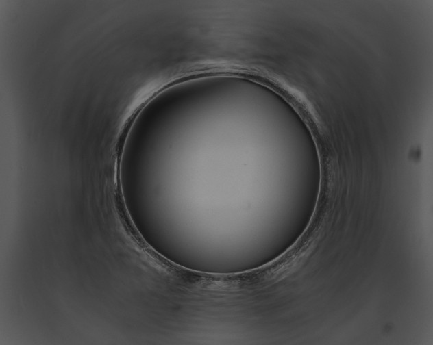 X0000091181365200708301208