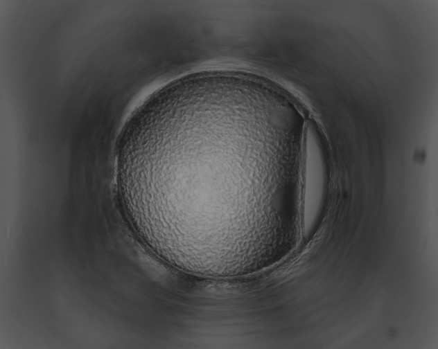 X0000091181366200708301208