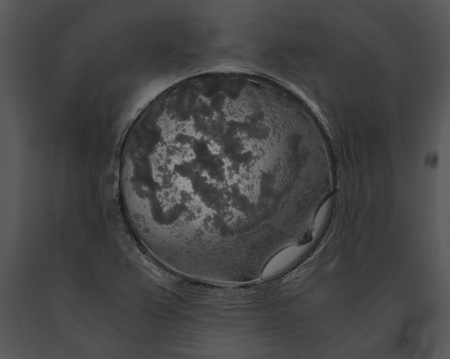 X0000091181367200708301207