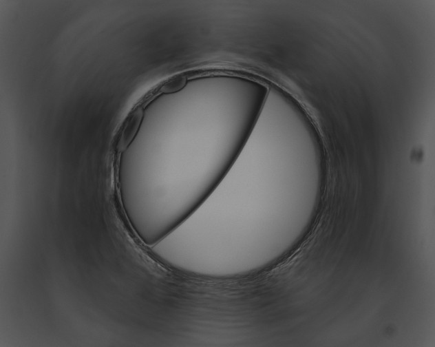 X0000091181368200708301207