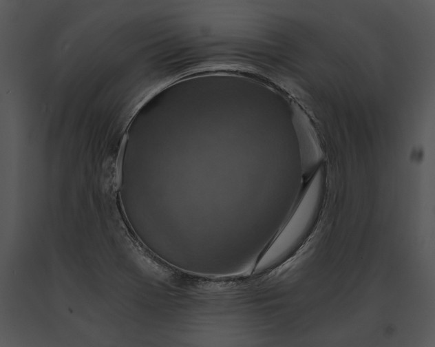 X0000091181369200708301207