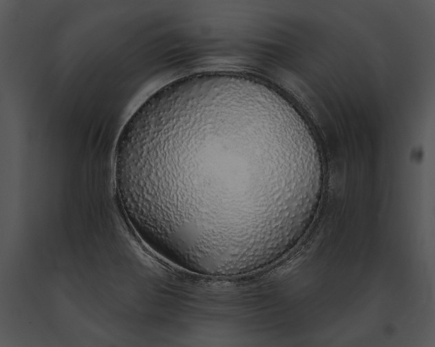 X0000091181370200708301207