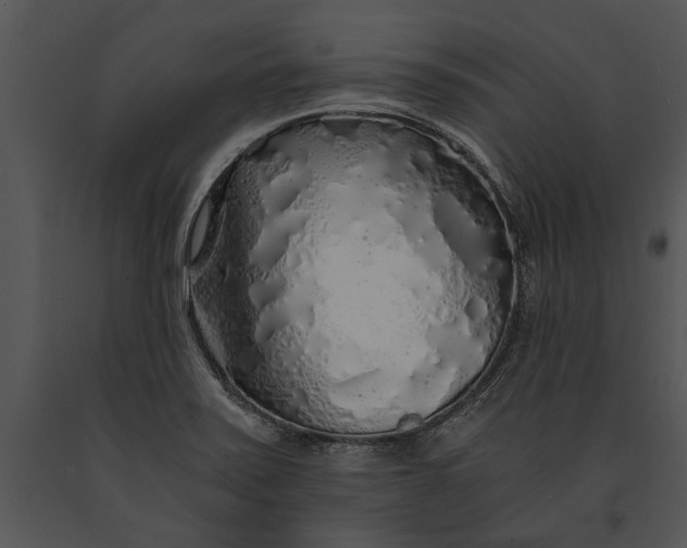 X0000091181371200708301207