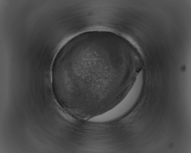 X0000091181372200708301207