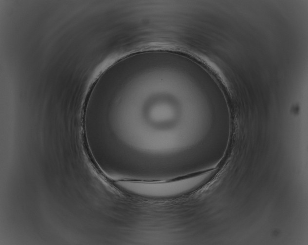 X0000091181373200708301207