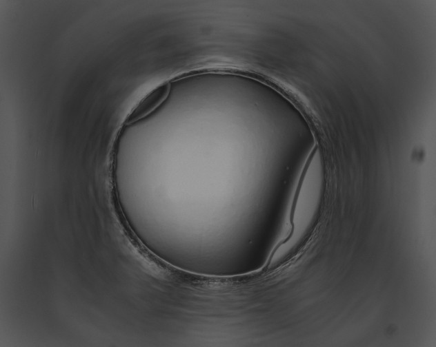 X0000091181375200708301207