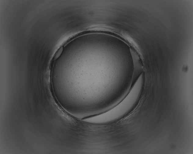 X0000091181376200708301207