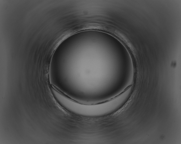 X0000091181377200708301207