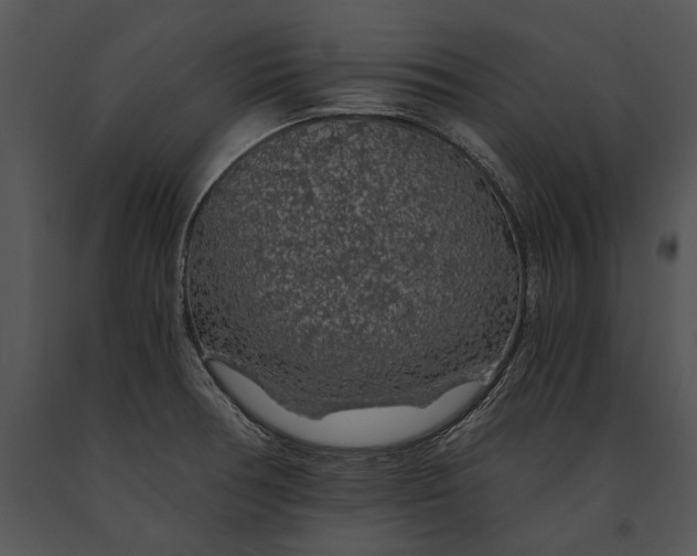 X0000091181378200708301207