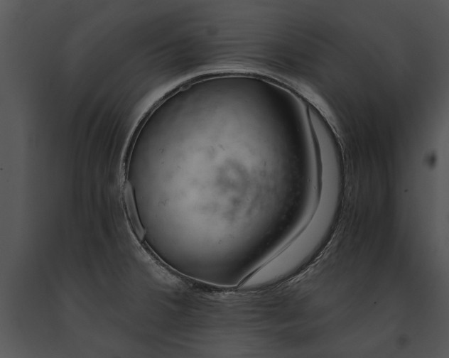 X0000091181380200708301207