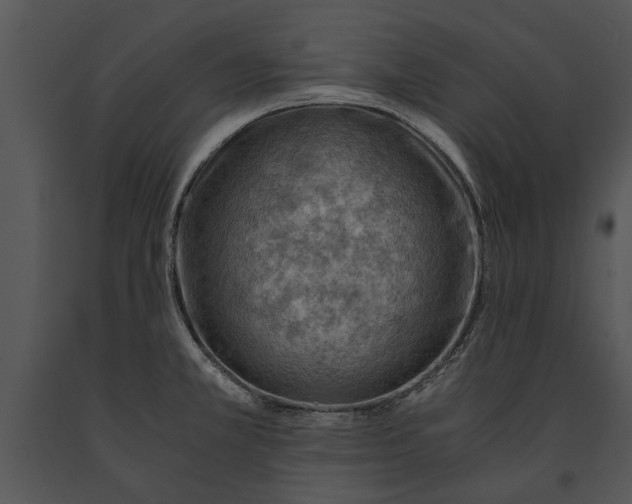 X0000091181381200708301207