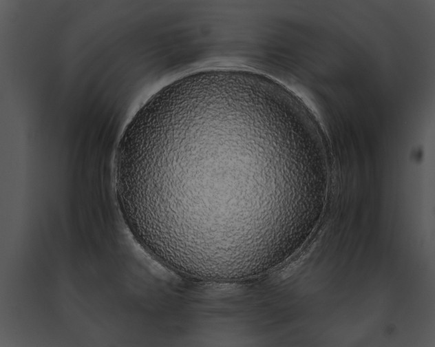 X0000091181382200708301207