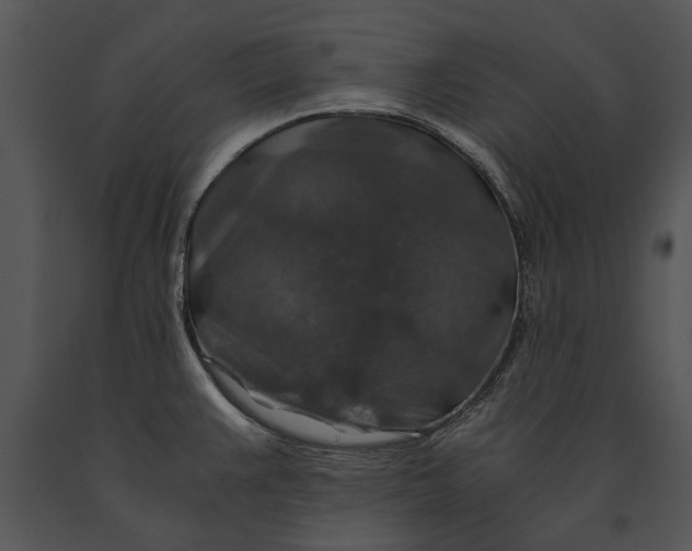 X0000091181383200708301207