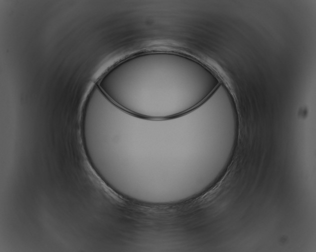 X0000091181384200708301207