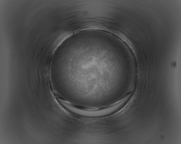 X0000091181385200708301207