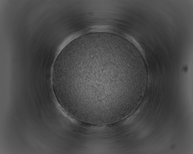 X0000091181386200708301207