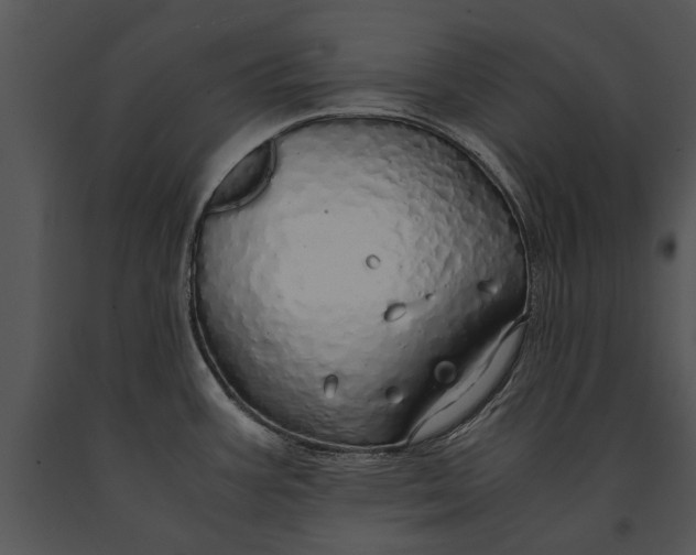 X0000091181387200708301207