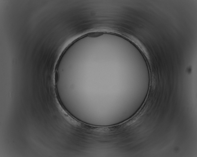 X0000091181388200708301207