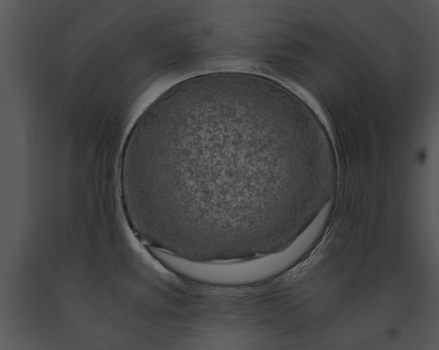 X0000091181389200708301207