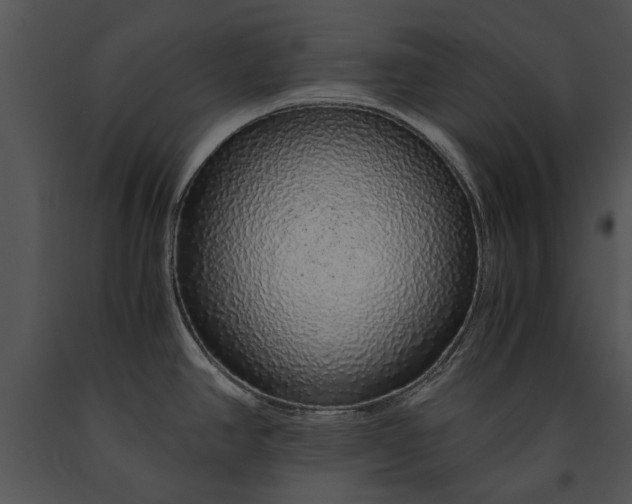 X0000091181390200708301207